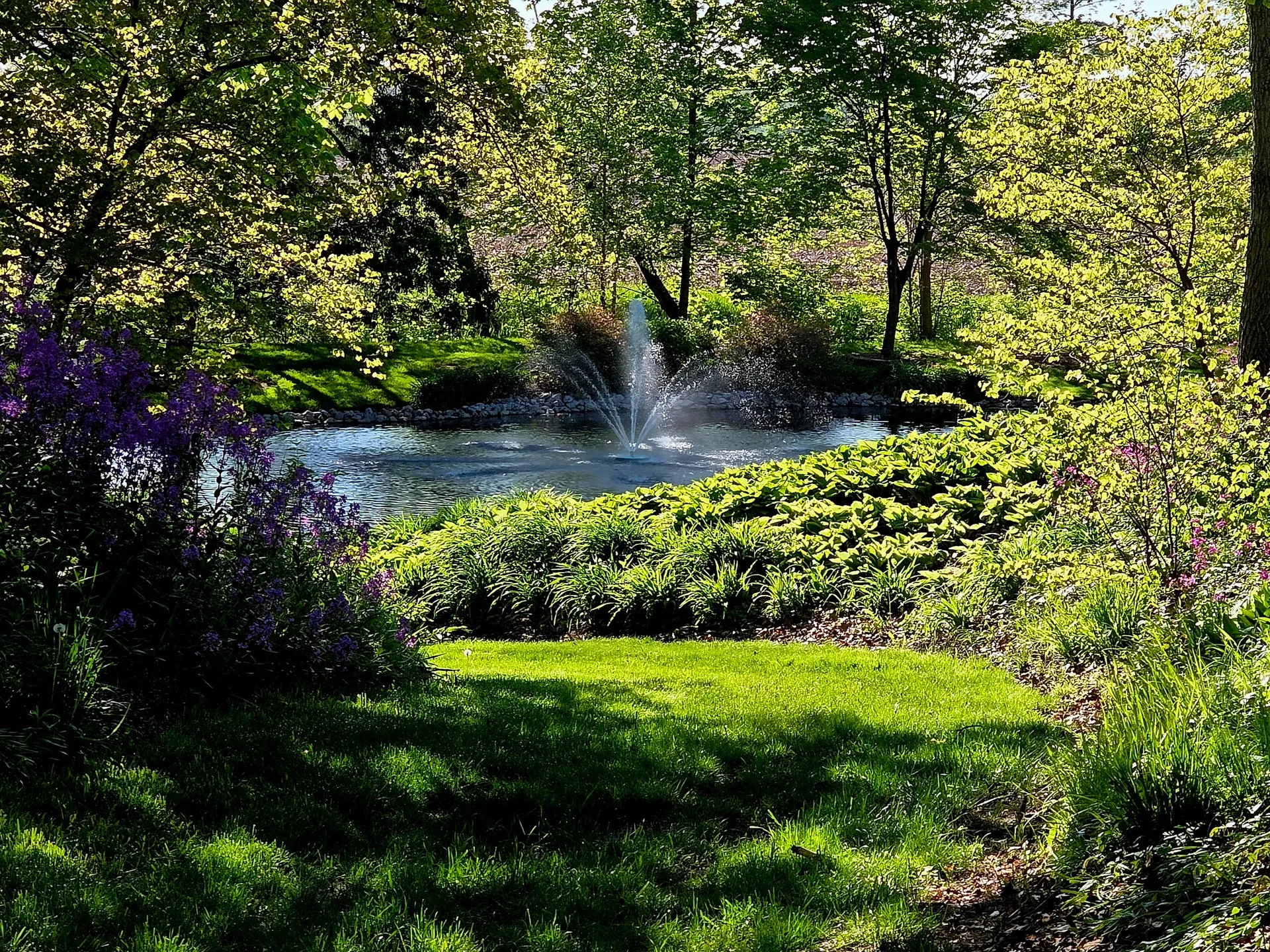 A fountain pond framed by shade trees and planted beds on a maintained property